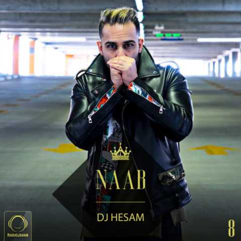 Dj Hesam Naab 8